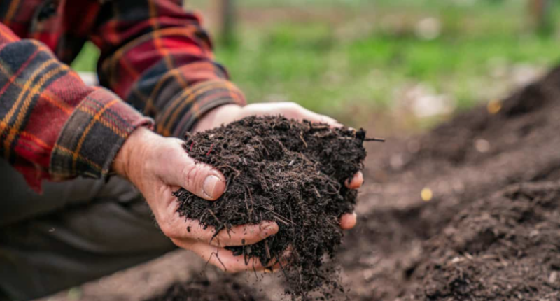 compost
